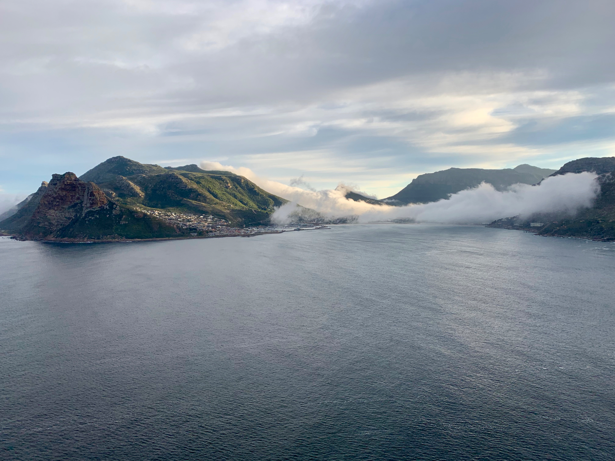 Hout Bay Tokai Forest Reserve